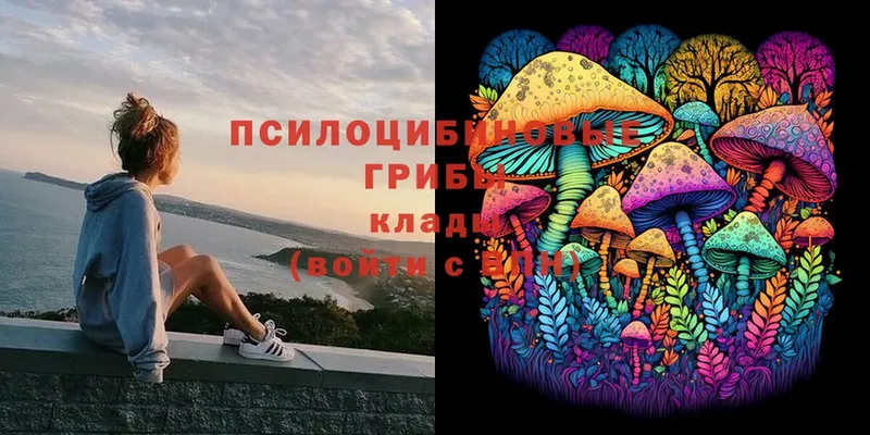 цена   Новомичуринск  Псилоцибиновые грибы Magic Shrooms 